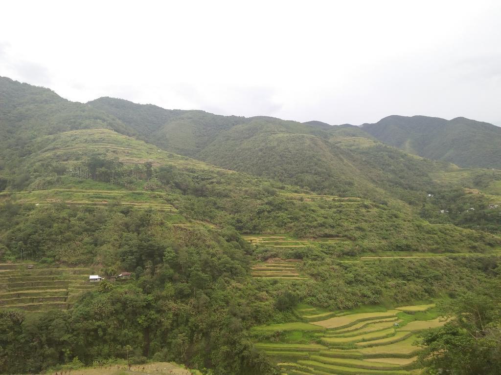 Banaue Sunrise Guest House Esterno foto